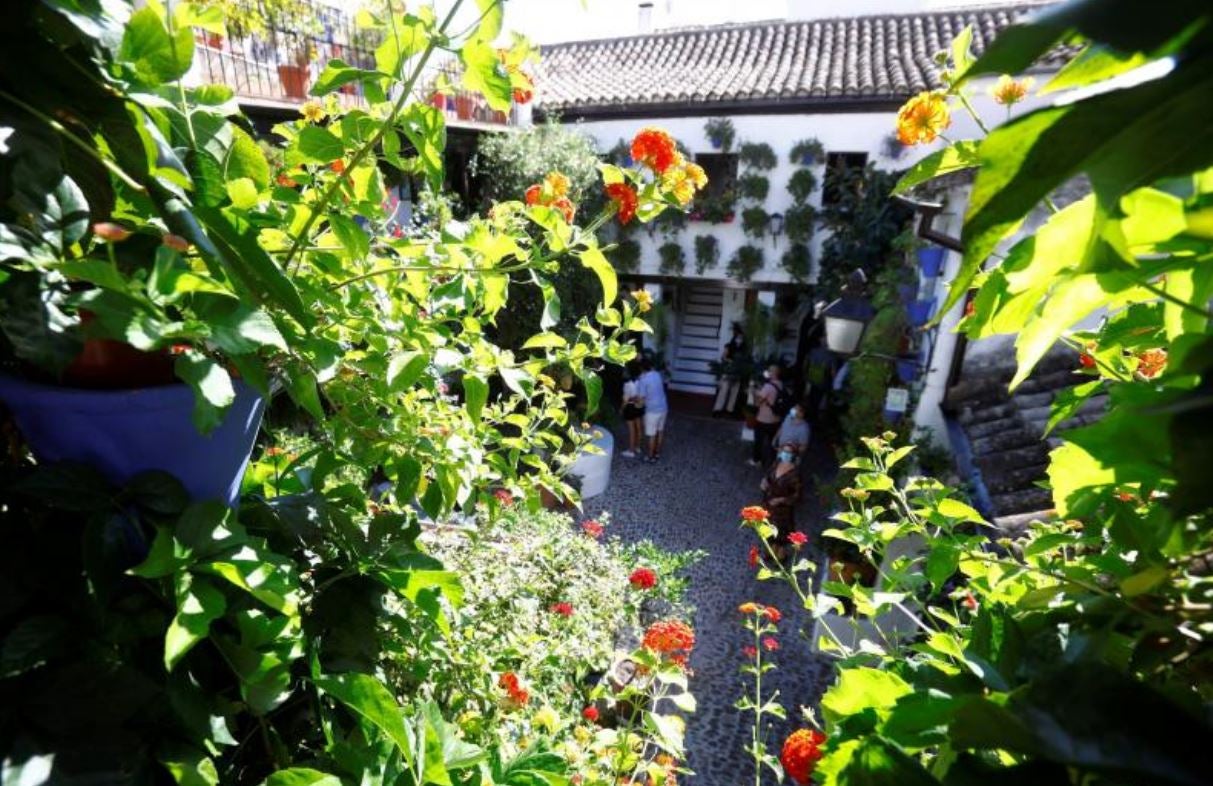 Los Patios de Córdoba sueñan su primavera