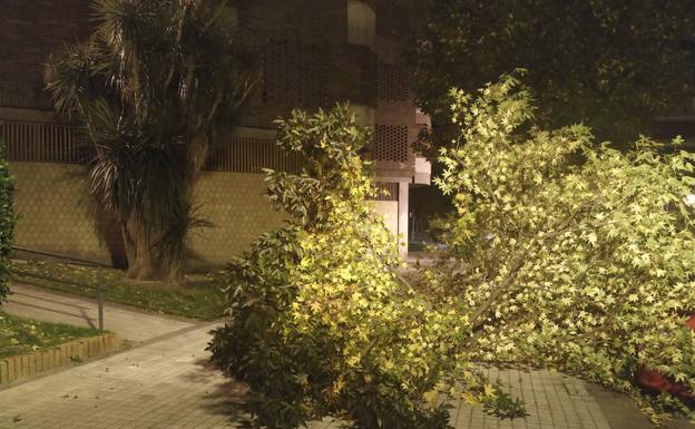 El aviso amarillo por fuerte viento se mantiene hasta el jueves