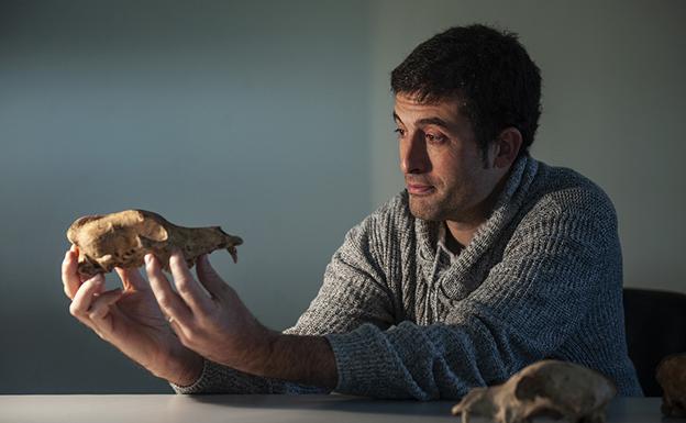 Una cueva de Urnieta, clave en una investigación global sobre el ADN de los perros