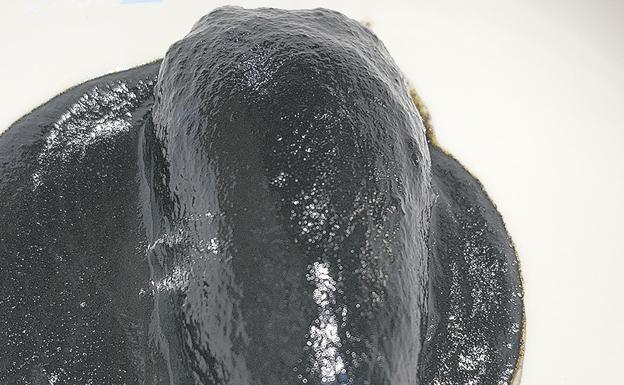 Receta de txipirones en su tinta