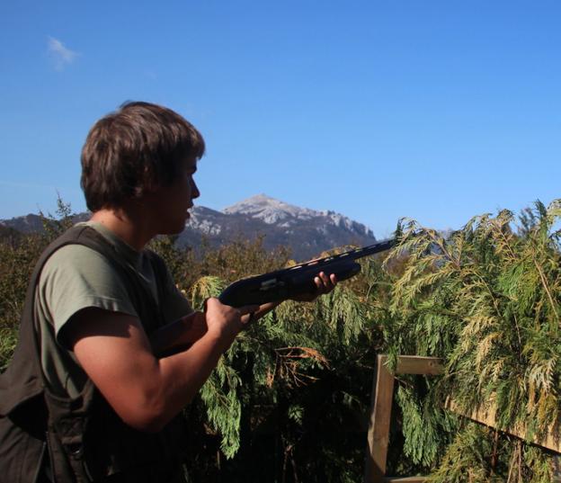 Llegaron las torcaces