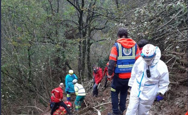 Fallece un vecino de Oiartzun de 58 años tras sufrir un accidente mientras talaba un árbol en Artikutza