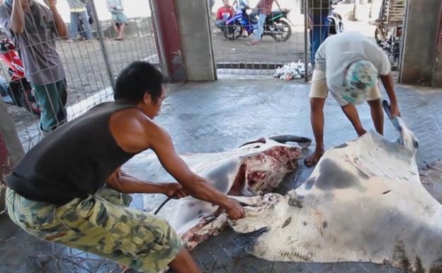 Una ventana al fondo del mar