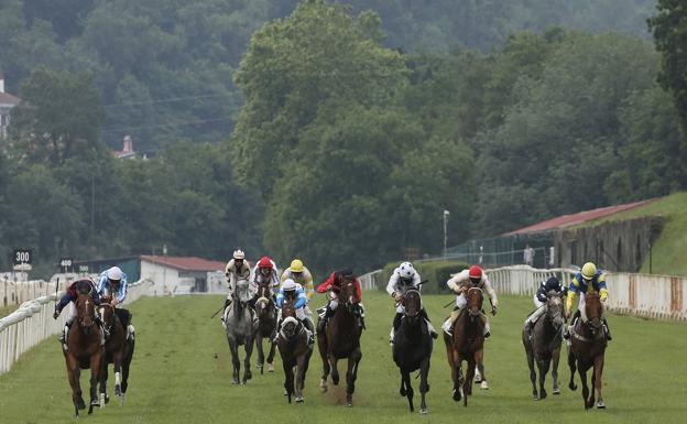 El Hipódromo de San Sebastián acogerá 19 pruebas el próximo año