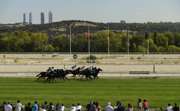 El Gladiateur confirma a 'Emin' como mejor stayer del país