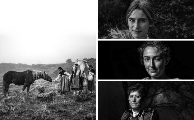 La sombra del vuelo de 'Las golondrinas'