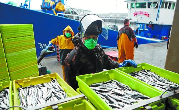Los arrantzales dispondrán de mayor cuota de anchoa pero menos de merluza
