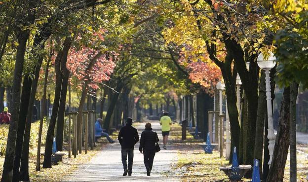 Despedida a uno de los años más cálidos