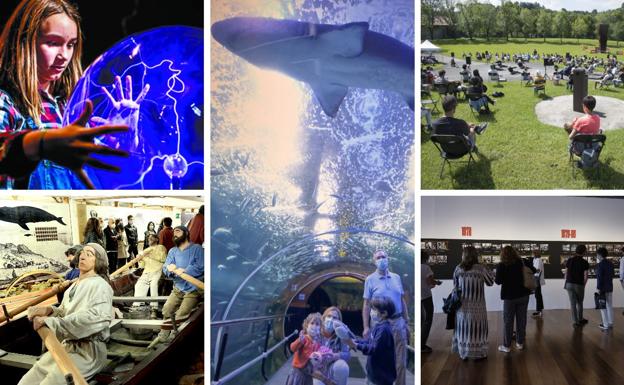 Los museos vislumbran un futuro incierto