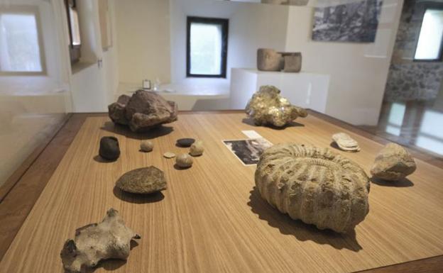 'Leges naturae', la pasión de Chillida por la Biología