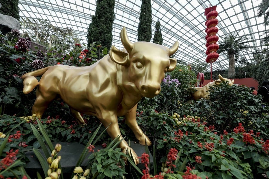 Comienzan los preparativos para el Nuevo Año chino