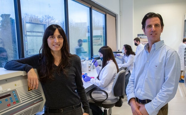 Gipuzkoa entra en el gigantesco negocio de la 'carne cultivada'