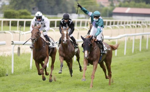 El Hipódromo de Donostia acogerá cuatro jornadas del 12 de marzo al 2 de abril