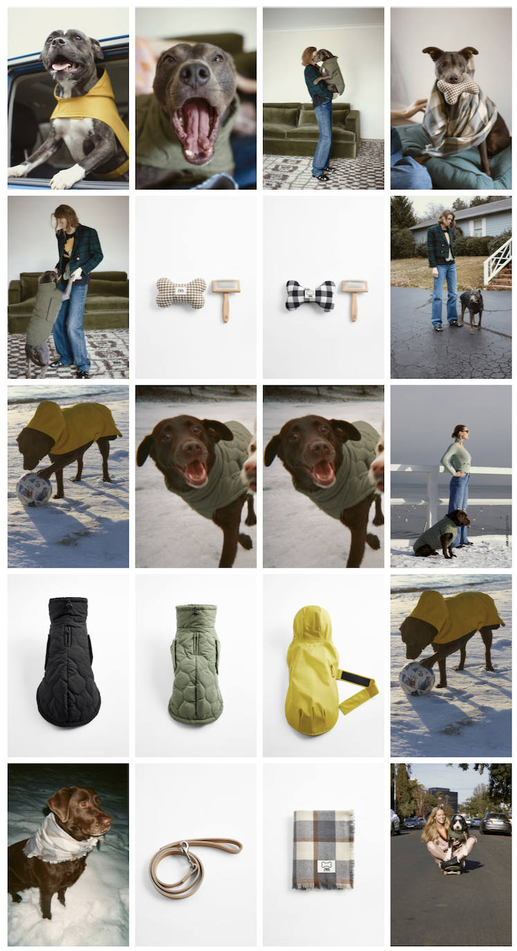 Perros con abrigos, chaquetas y sudaderas