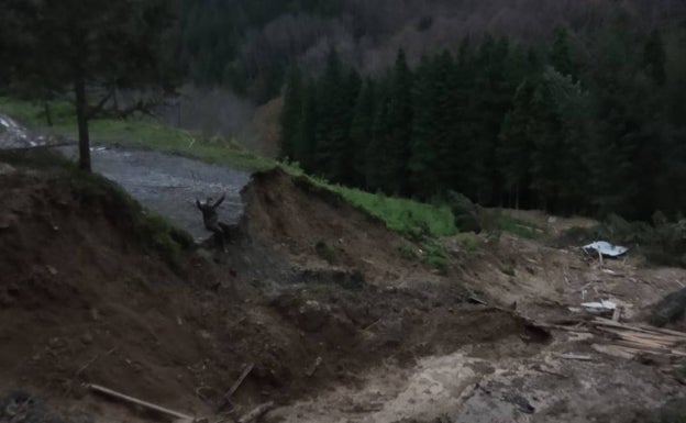 Udalak eta lurraren jabeek erdibana ordainduko dute luziaren garbiketa