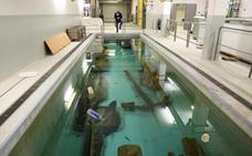 Los tesoros de Gordailua