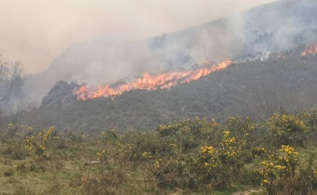 Activo pero estable el incendio que ya ha quemado más de 400 hectáreas en Gipuzkoa