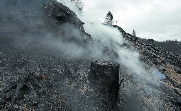 El incendio en la zona de Endarlatsa fue extinguido a las 48 horas. /lobo altuna
