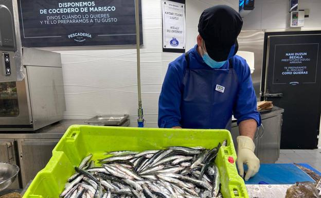 Descargados 30.000 kilos de anchoa en Hondarribia
