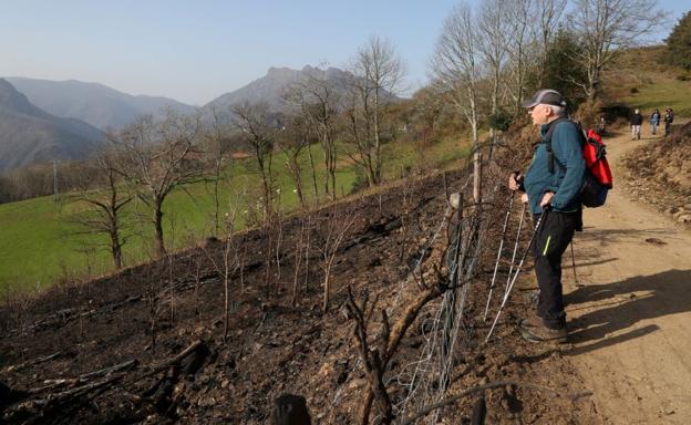 La Fiscalía de Gipuzkoa incoa diligencias por el incendio forestal en Gipuzkoa, Navarra y Lapurdi