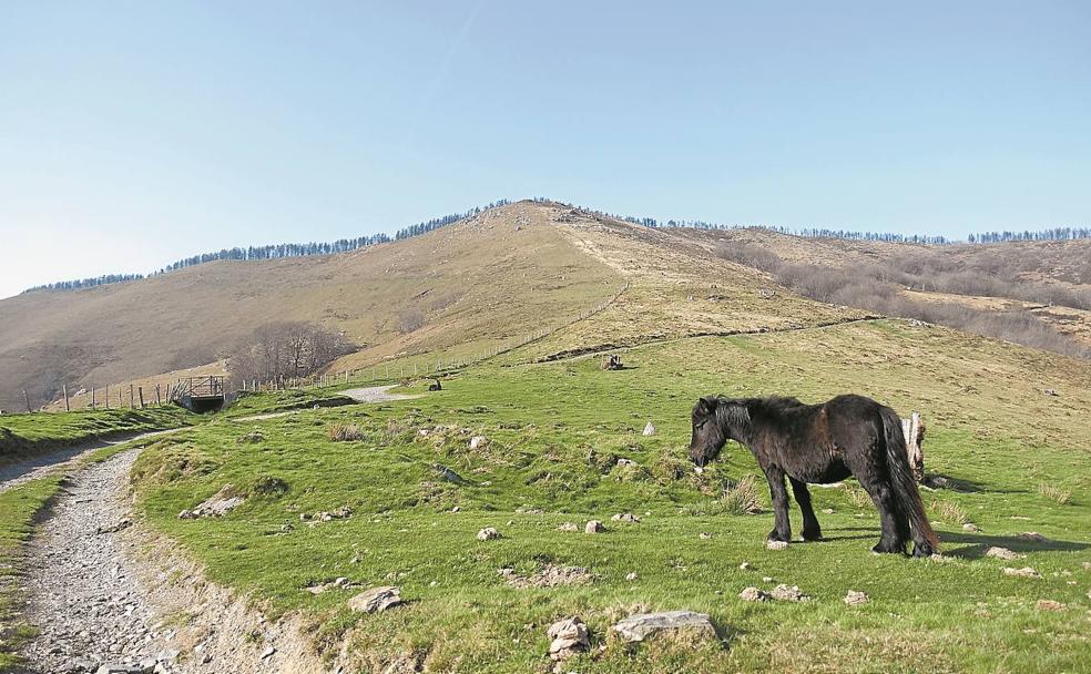 Unamuno, privilegiado descanso eterno