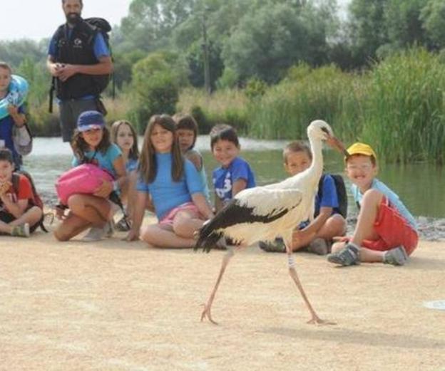 Vitoria recupera este verano sus actividades vacacionales con 2.210 plazas