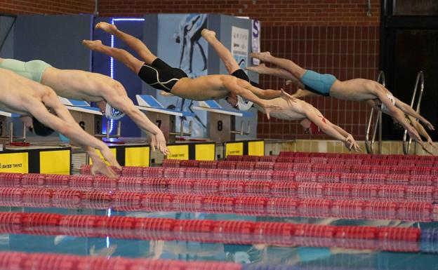 Siete clubes guipuzcoanos participan en el Campeonato de España de Natación