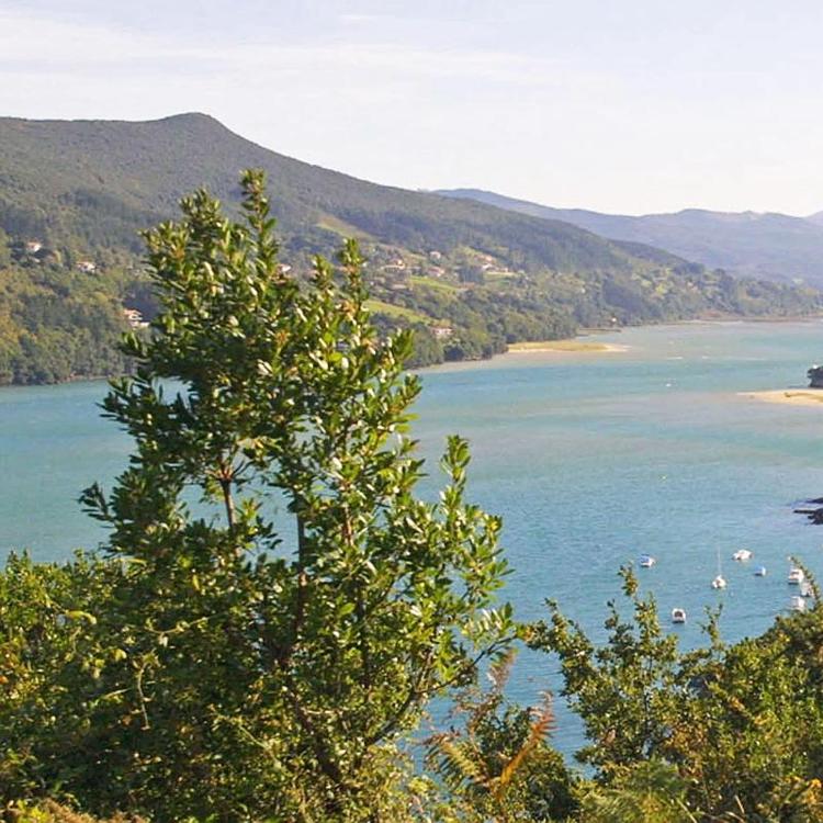 Urdaibai: desde el mágico Bosque Pintado a la bella playa de Laida