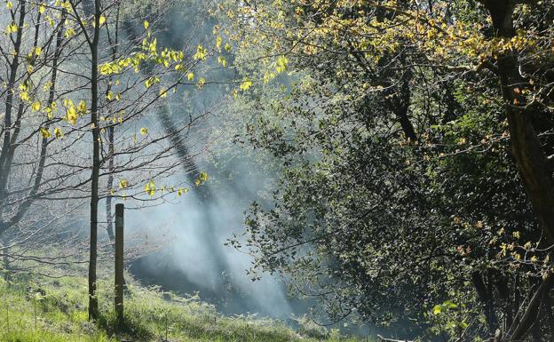 Una hoguera mal apagada fue la causa del incendio en el monte Ulia