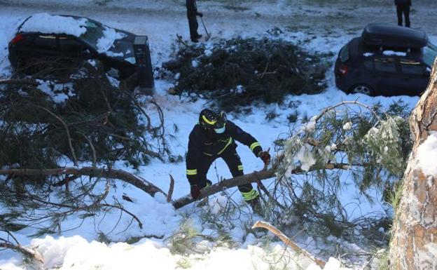 La borrasca Filomena causó en Gipuzkoa 386 percances por valor de 214.000 euros