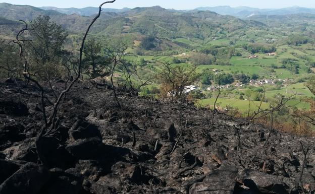Eguzki denuncia un nuevo incendio forestal en Oiartzun