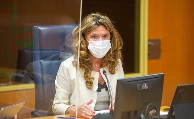 Sagardui: «Es pronto para empezar a hablar de relajar el uso de la mascarilla»