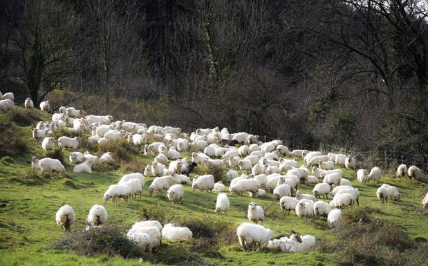 La Justicia da «carpetazo» y archiva las denuncias contra las pistas de Aralar