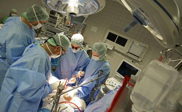 Euskadi logró el año pasado realizar 243 trasplantes pese a la pandemia, 20 menos que en 2019