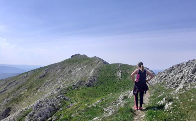 Aratz (1.443 m.), mole gris sobre un verde manto