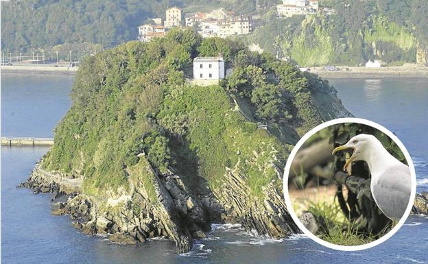 Santa Clara: lagartijas, brezo y cementerio de herejes