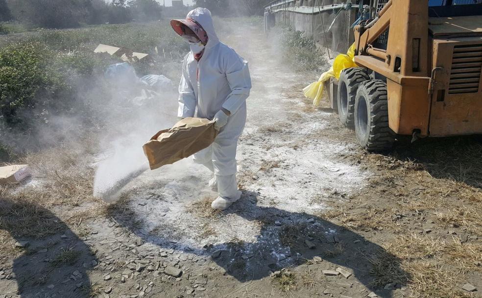 El mundo se prepara para otra pandemia tras el coronavirus