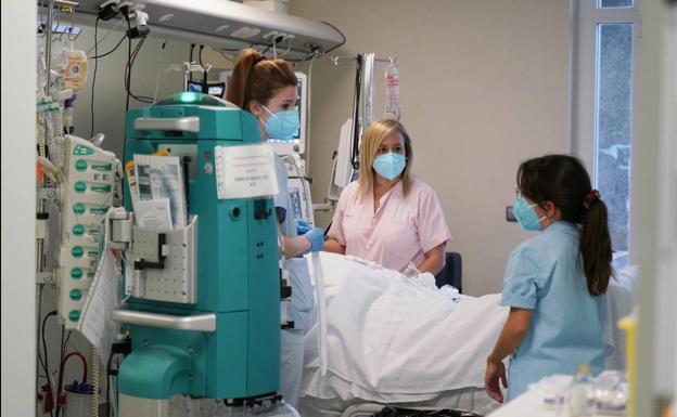 Este es el nuevo perfil de los hospitalizados en Euskadi por coronavirus