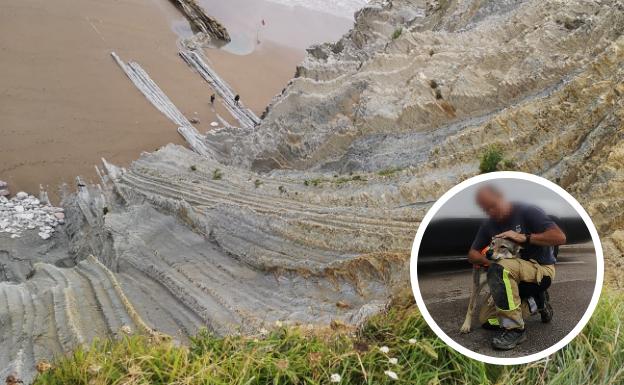 Los bomberos rescatan a un perro lobo atrapado en el flysch de Zumaia