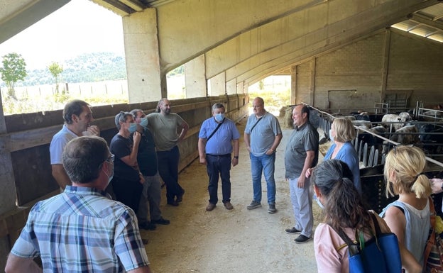 El PNV apoya al sector primario en Euskadi tras la 'crisis de la carne'