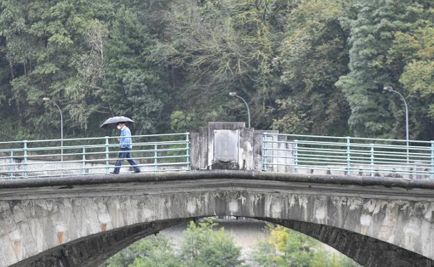 Mugi, paseos contra la soledad