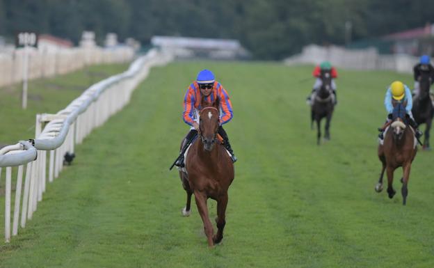 Las preparatorias para la Copa de Oro, el domingo en el hipódromo