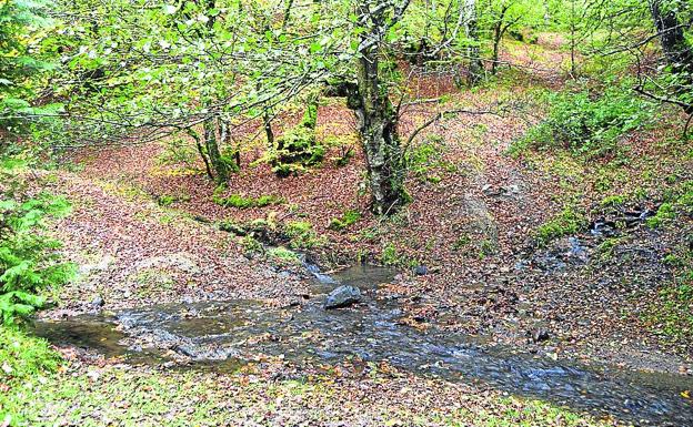 Iruerreketa, nacedero en el parque natural Aizkorri-Aratz
