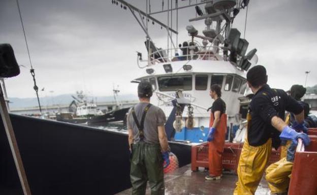La costera de bonito cierra su temporada más corta de la historia
