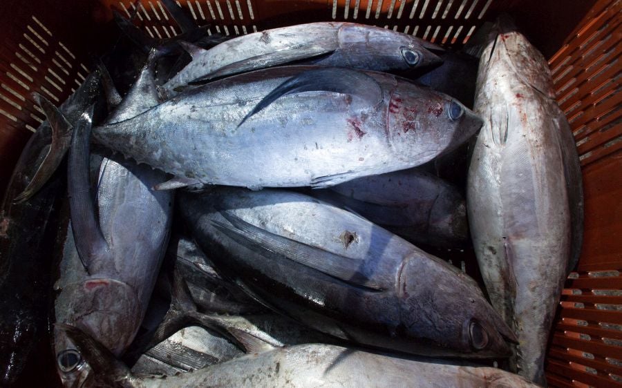 Las últimas piezas de la temporada