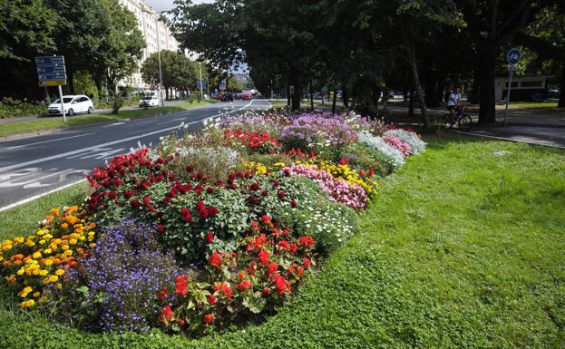 Cerca de 130.000 flores y plantas visten de color la ciudad durante el verano