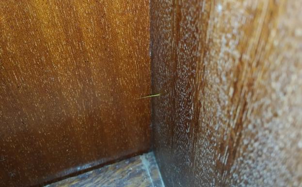 Detectan la técnica del hilo invisible en el robo en pisos en Gipuzkoa