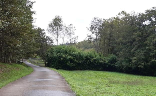 Agerrazpi eremuko urbanizazio lanak hasiko dira datozen asteetan