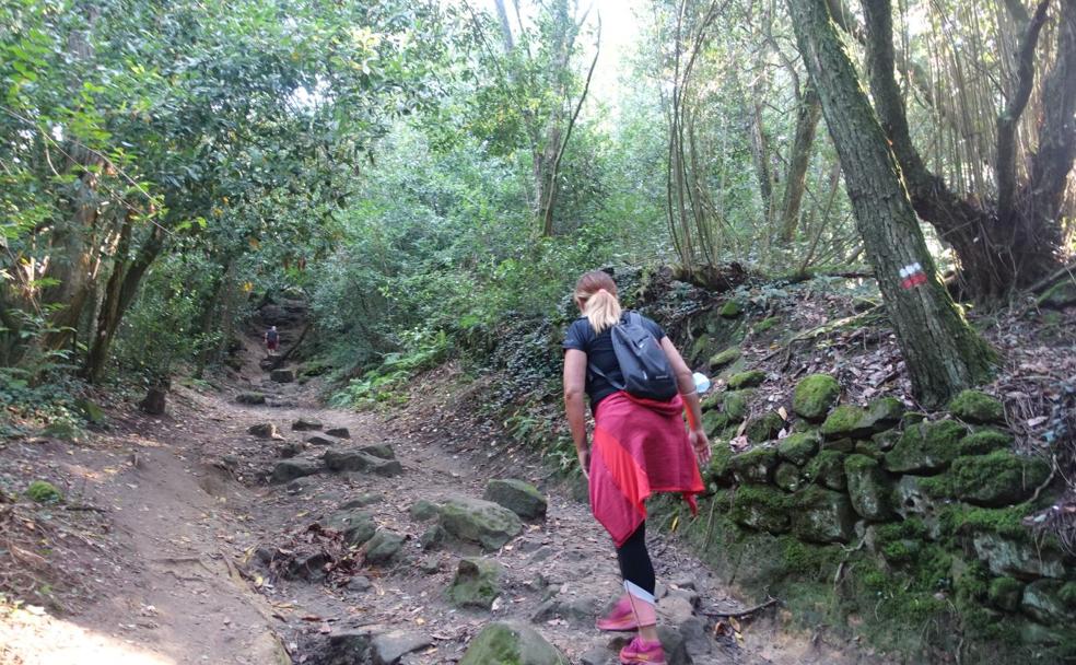 Ulia: Salitre, resina, hierbabuena...