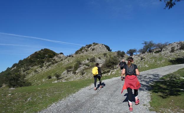 Kakueta, regalo en Urola